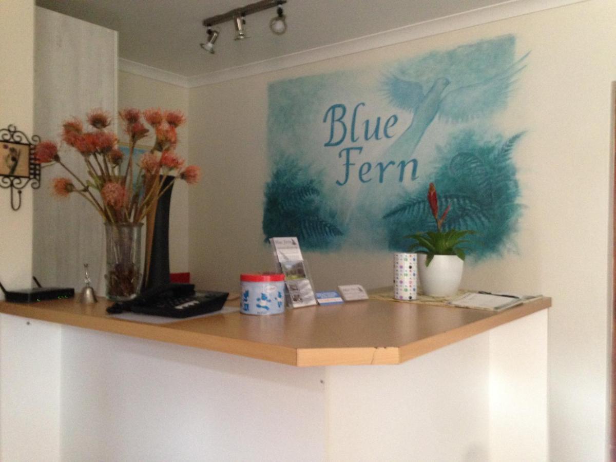 Blue Fern Of Knysna Bed & Breakfast ภายนอก รูปภาพ
