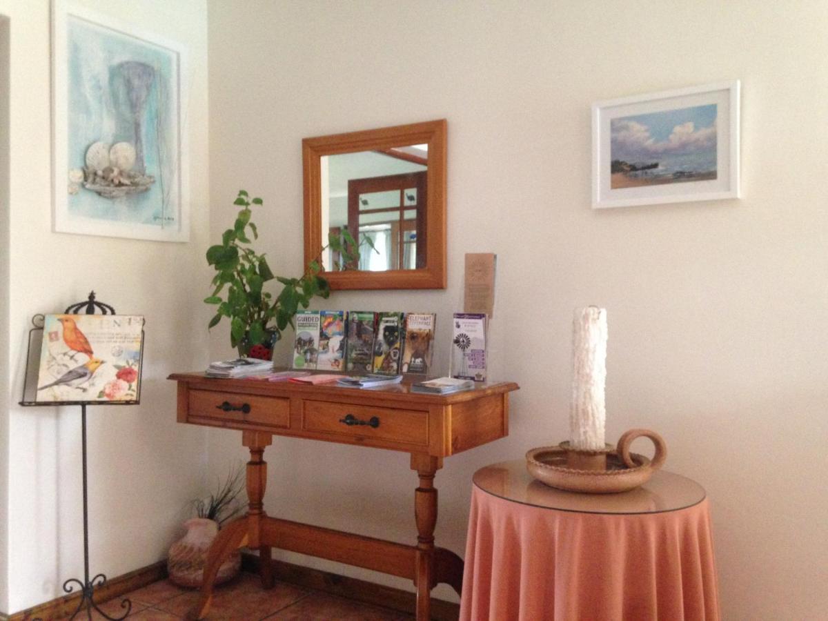 Blue Fern Of Knysna Bed & Breakfast ภายนอก รูปภาพ
