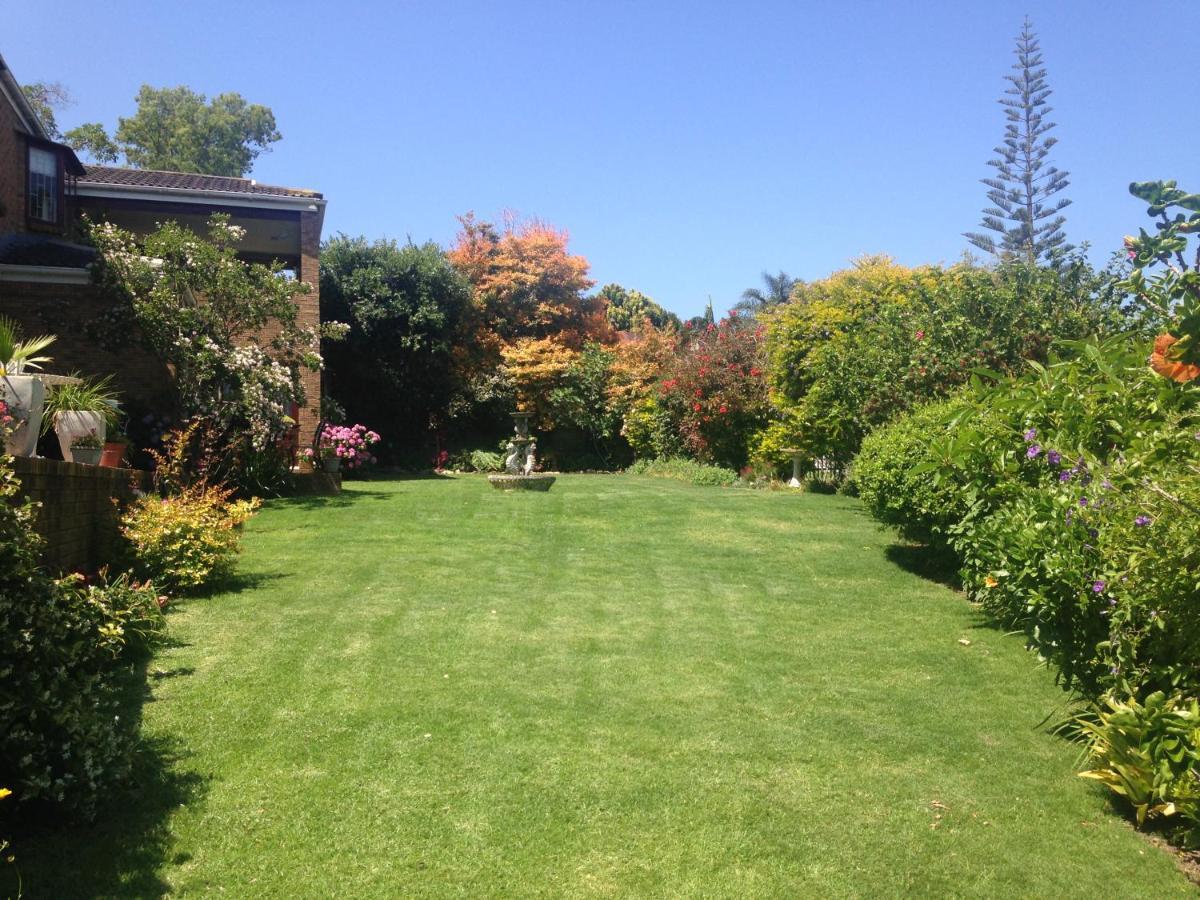 Blue Fern Of Knysna Bed & Breakfast ภายนอก รูปภาพ