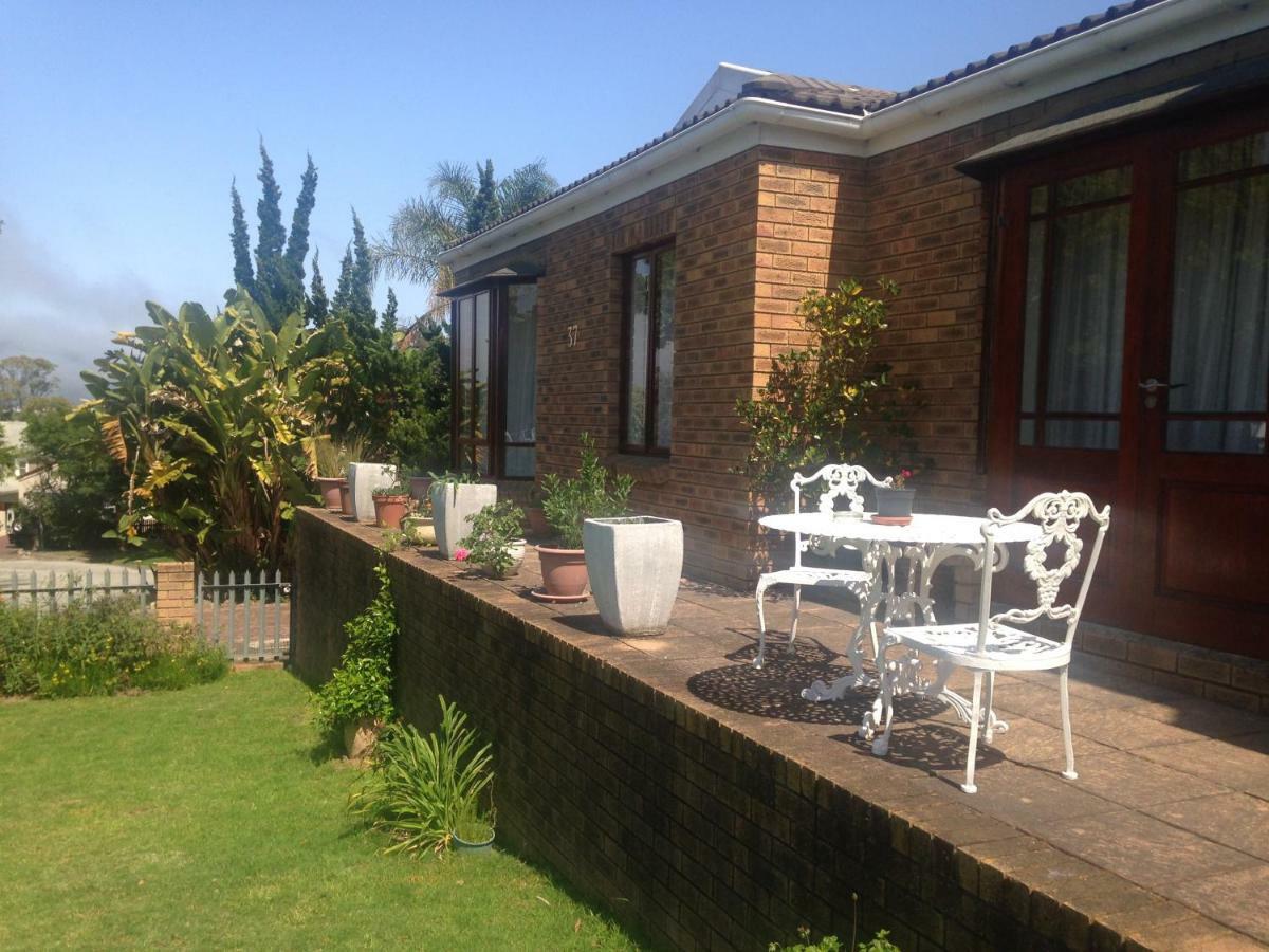 Blue Fern Of Knysna Bed & Breakfast ภายนอก รูปภาพ